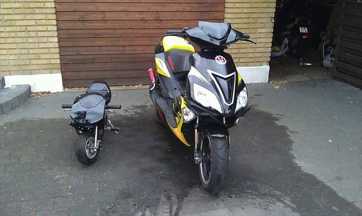 MiniBike 49cc billede 10