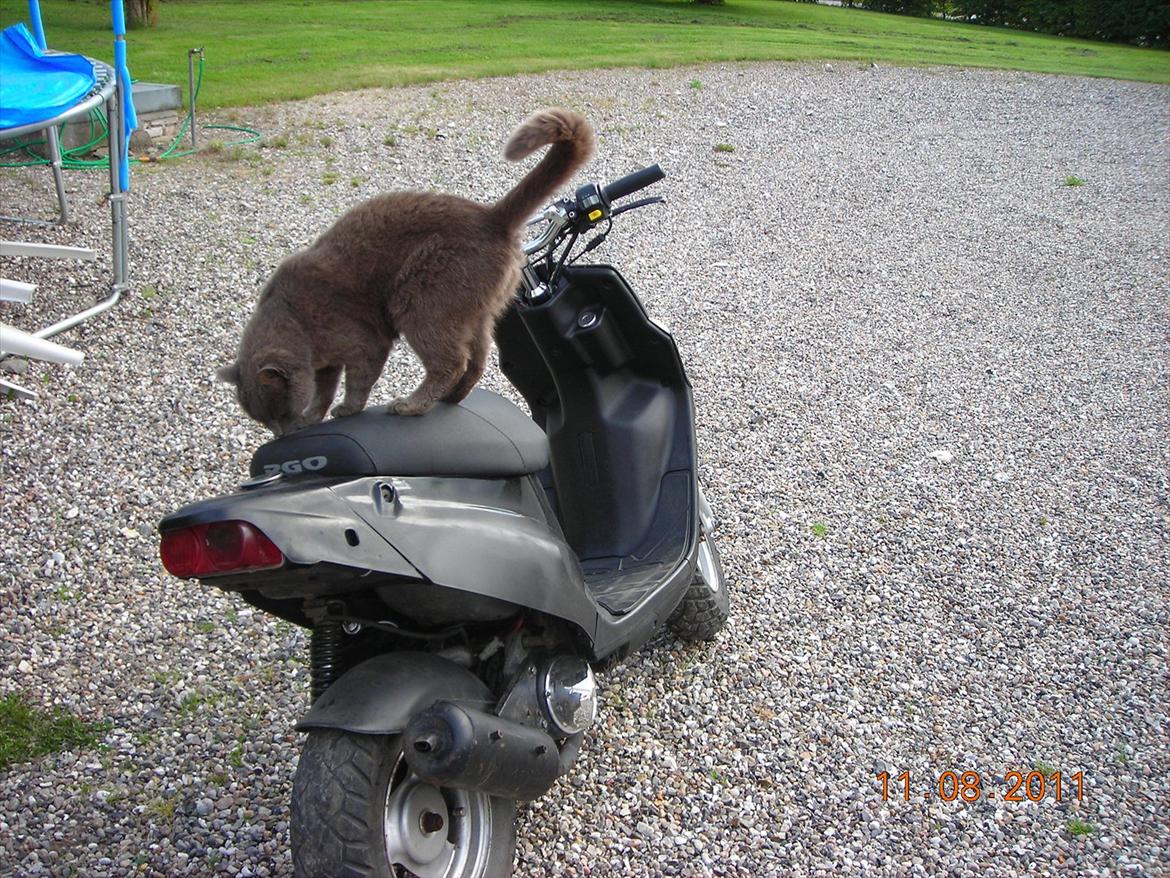 PGO Hot 50/Tornado [Byttet med bws] - mis billede 2