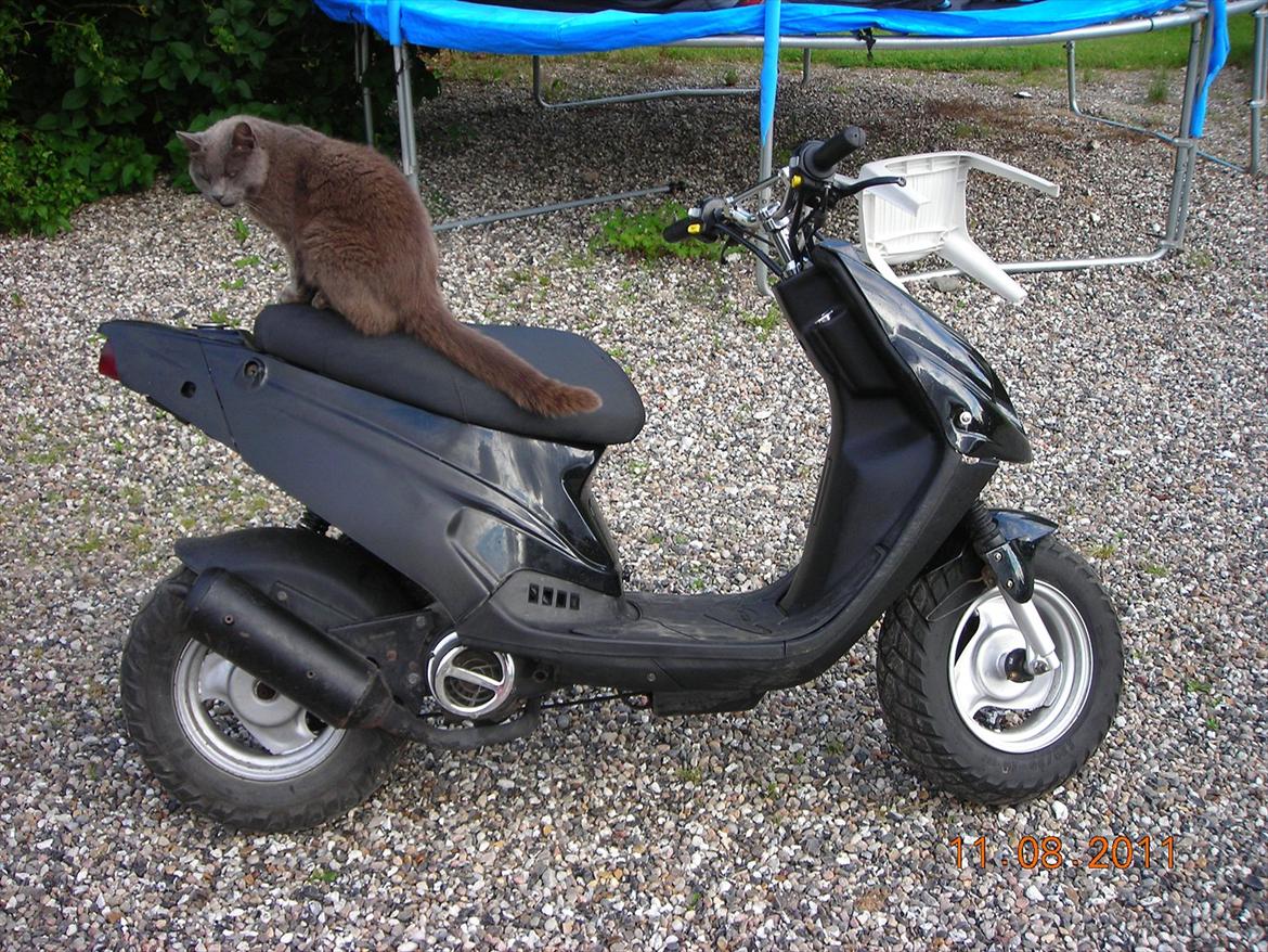 PGO Hot 50/Tornado [Byttet med bws] - kat billede 1