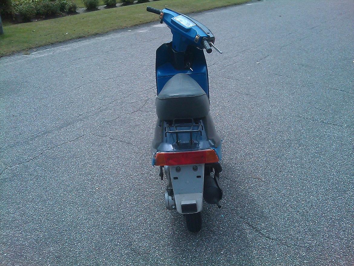 Veteraner Qvingqi gt  billede 3