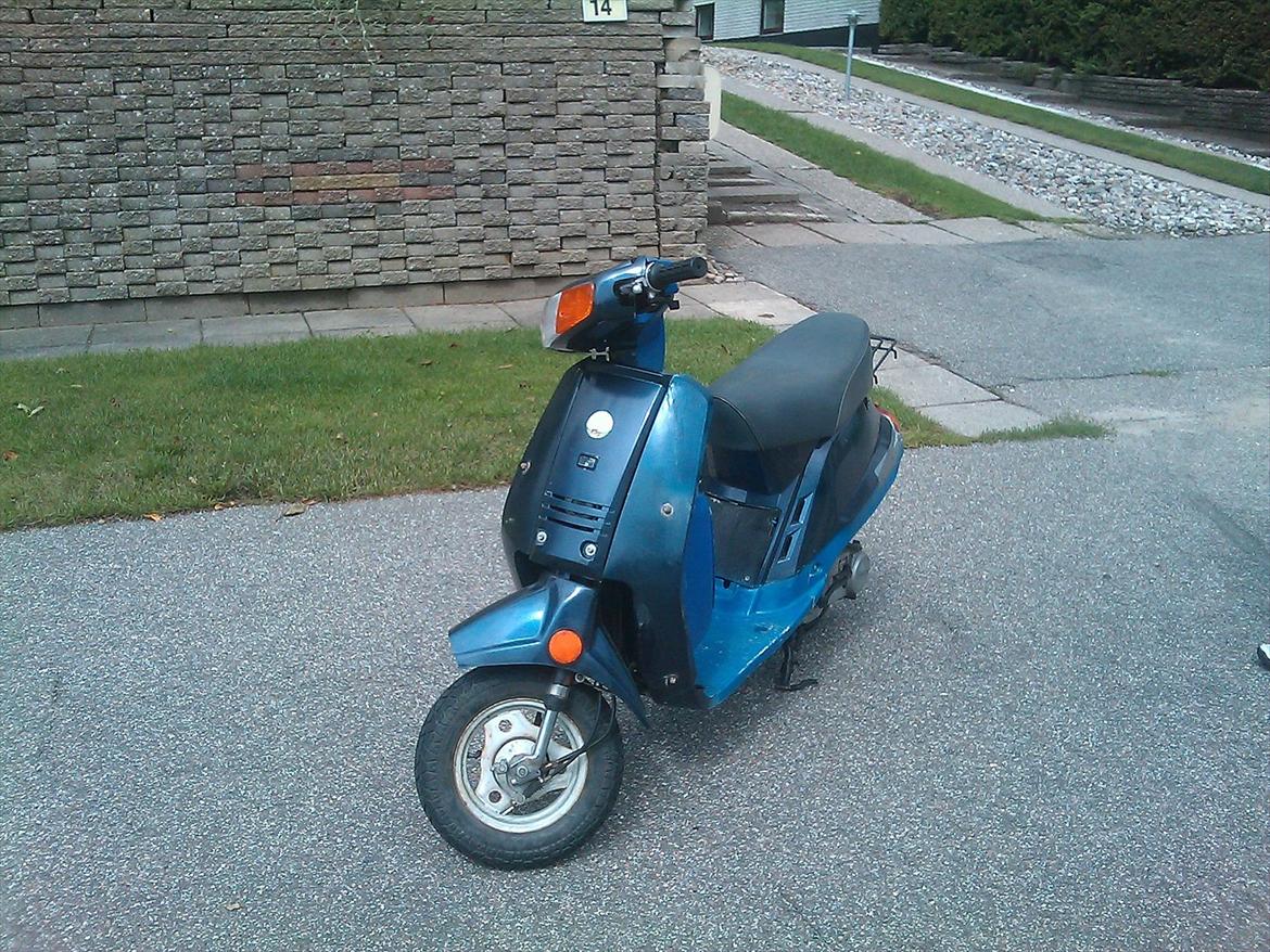 Veteraner Qvingqi gt  billede 5