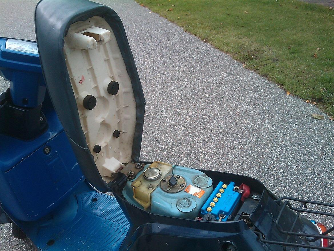 Veteraner Qvingqi gt  billede 9