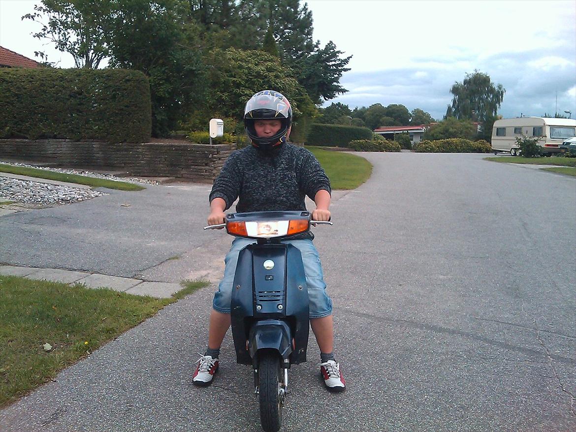 Veteraner Qvingqi gt  billede 15