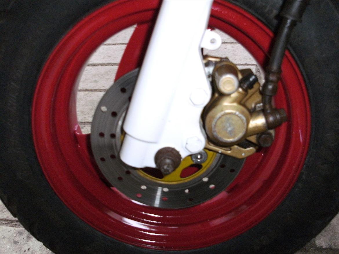 PGO Hot 50 Red/White Edion billede 6