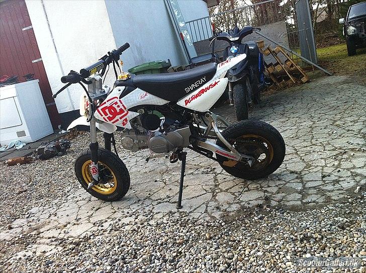 Shineray motard DC billede 5