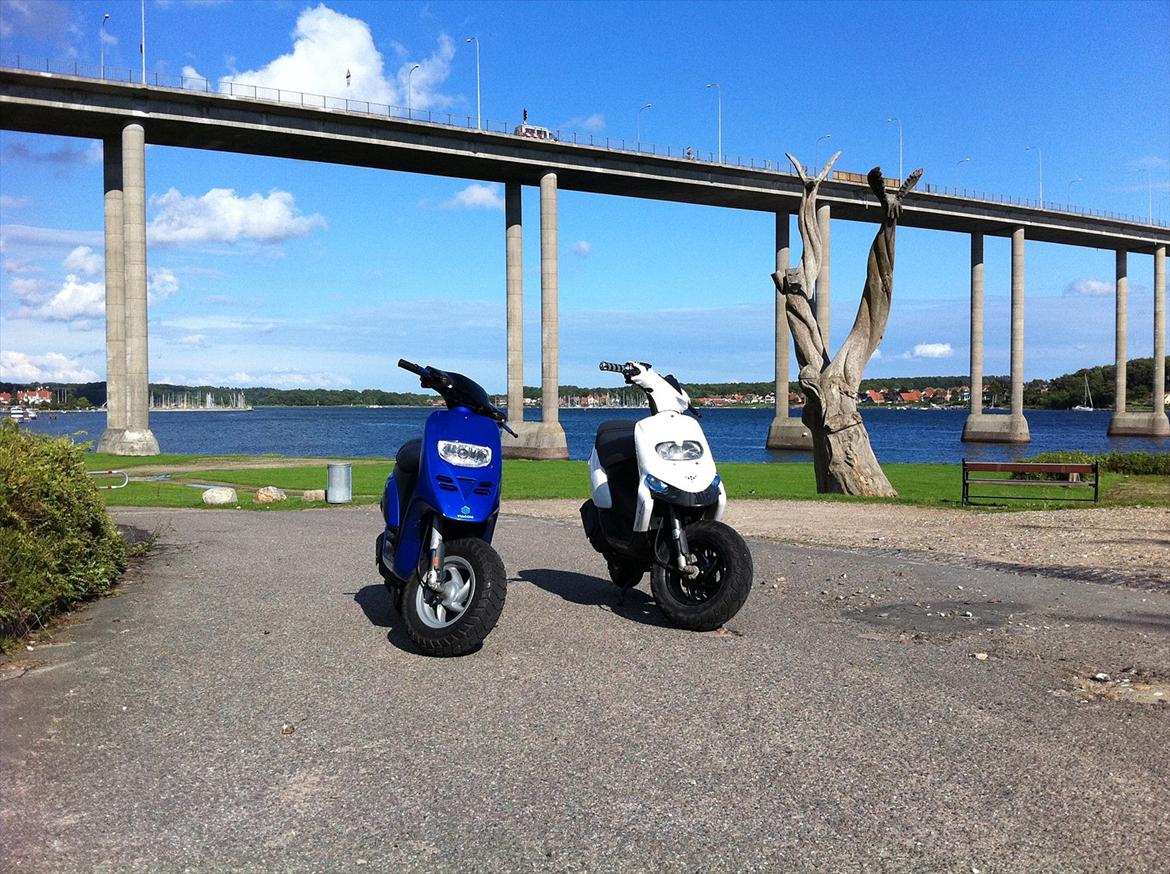 Gilera Stalker SOLGT :( - Lasses tyffe med min mis :) billede 10