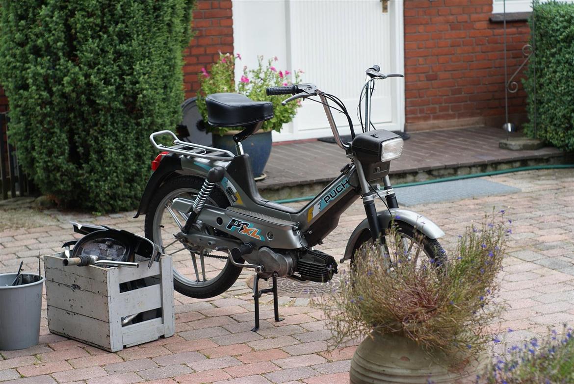 Puch Maxi P1L billede 14