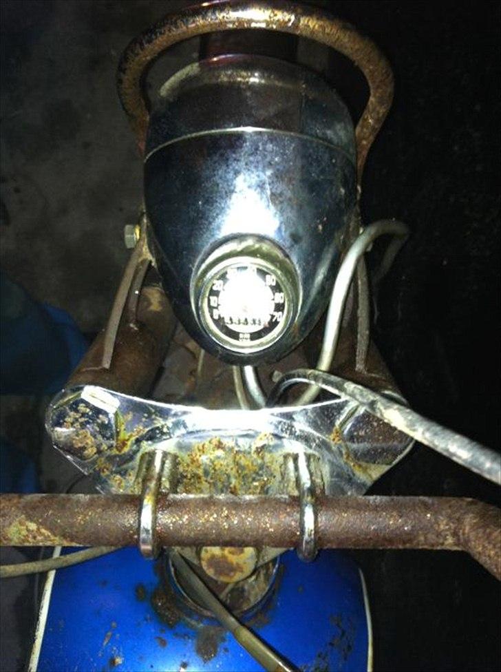 Veteraner DBS Sport - Lækker! billede 6