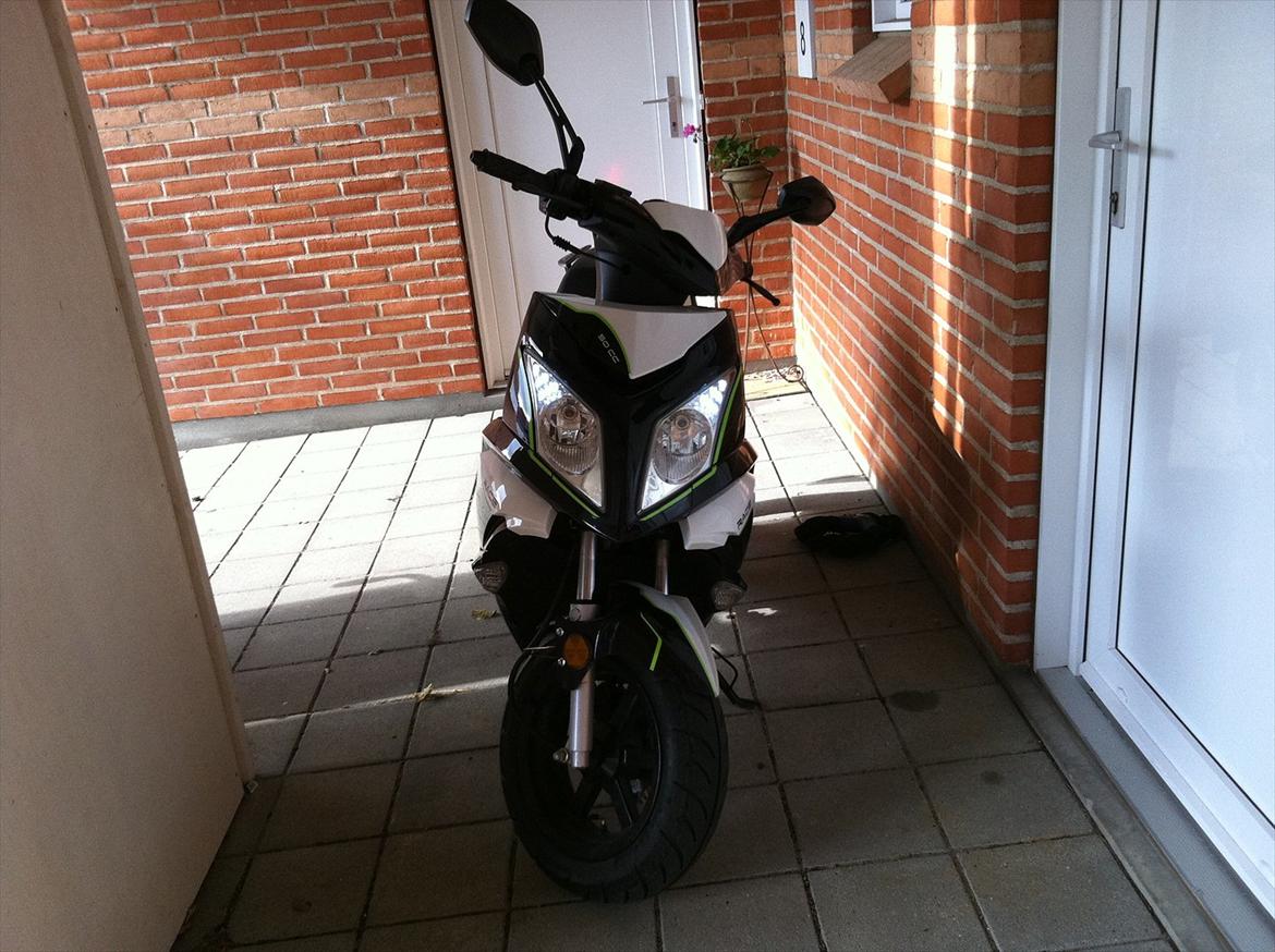 VGA "TANKEN" Grido billede 1