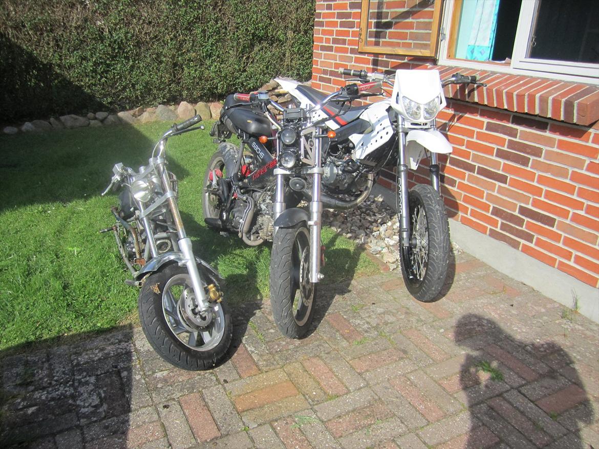 Sachs madass billede 20