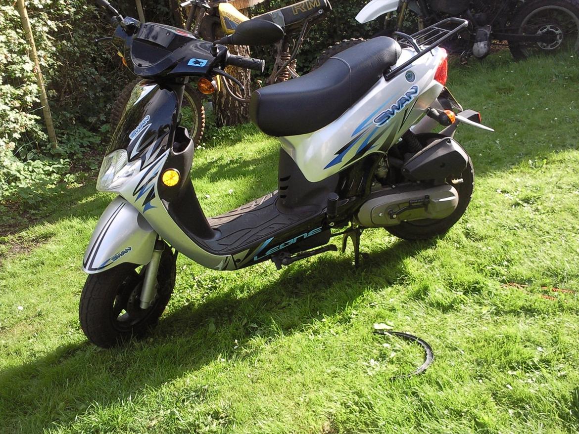 Leone swan billede 3