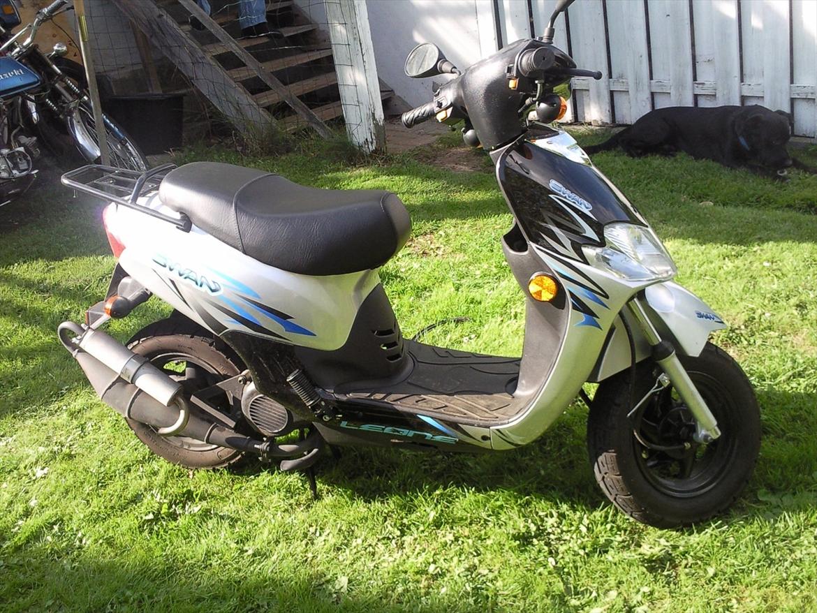 Leone swan billede 2