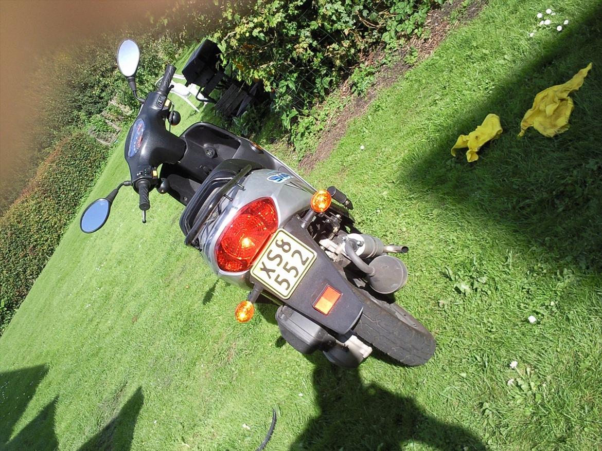 Leone swan billede 5