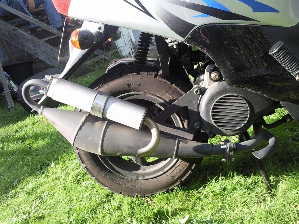 Leone swan billede 6