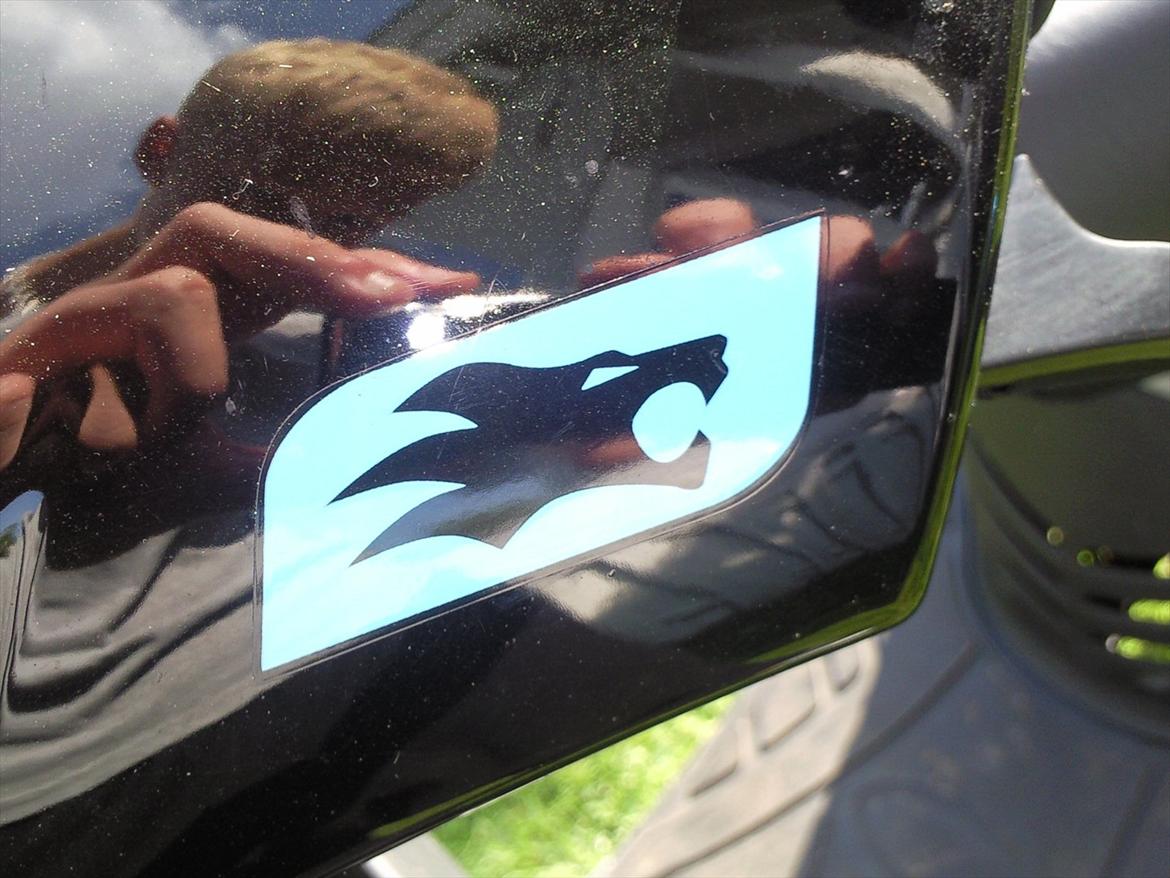 Leone swan billede 7