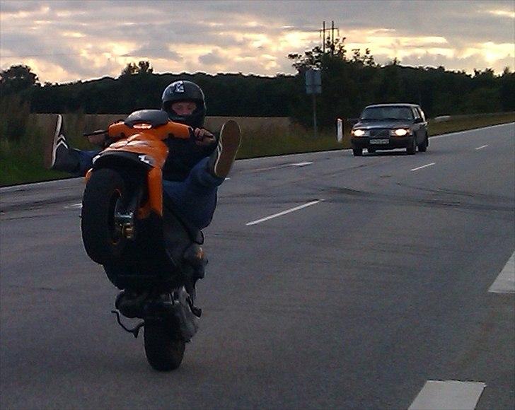 Gilera Stalker billede 9