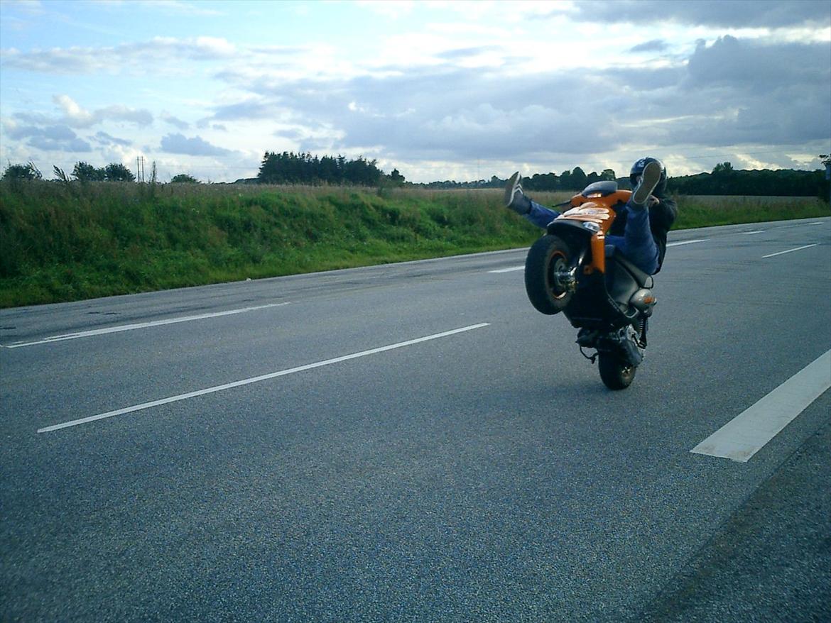 Gilera Stalker billede 10