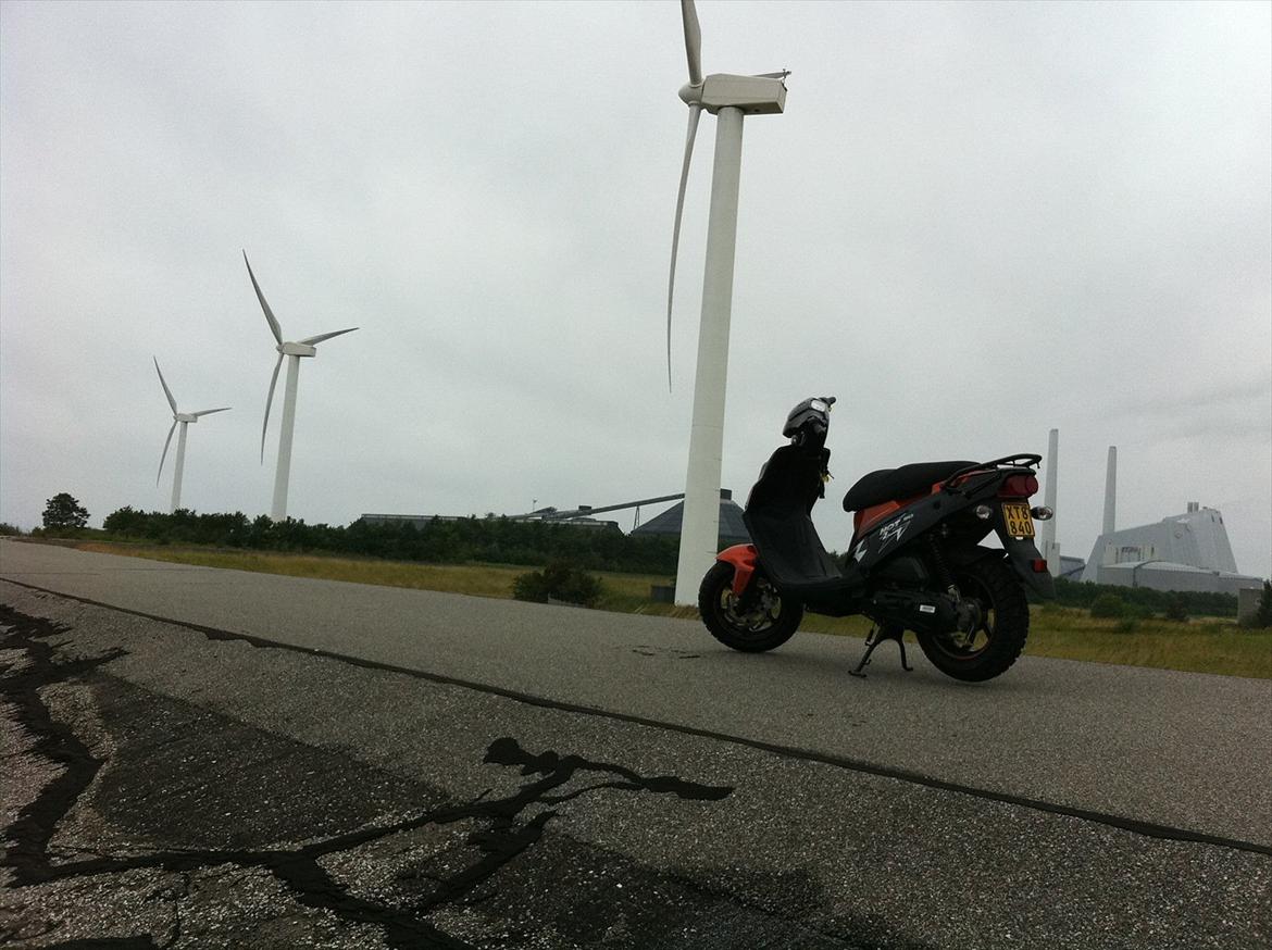 PGO Hot 50 SP [Stjålet] billede 8