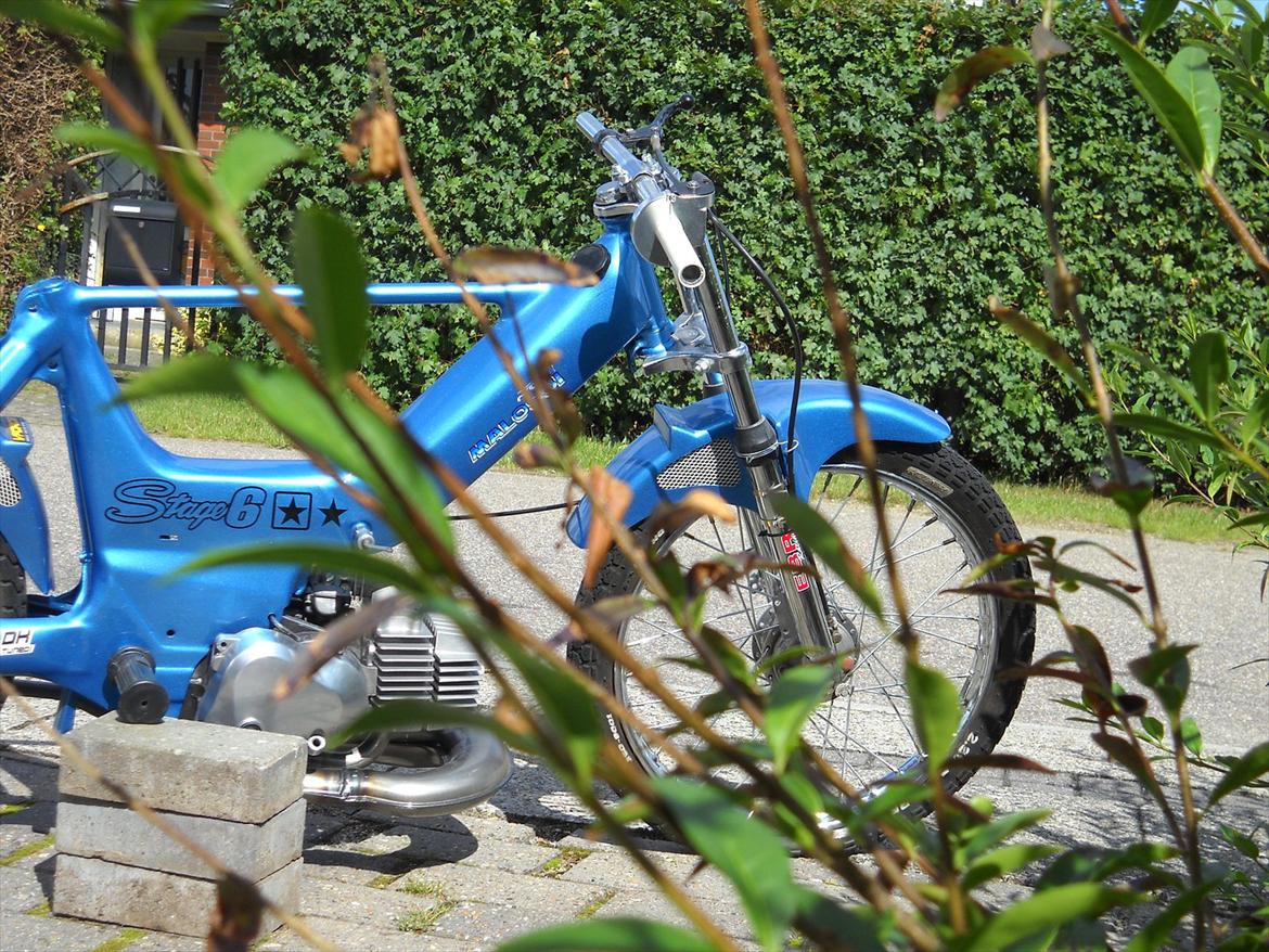 Puch maxi k e50 billede 4