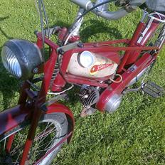 Veteraner BFC Stafette