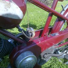 Veteraner BFC Stafette