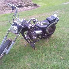 Regal Raptor *solgt*