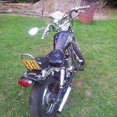 Regal Raptor *solgt*