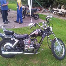 Regal Raptor *solgt*