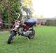 Honda Dax