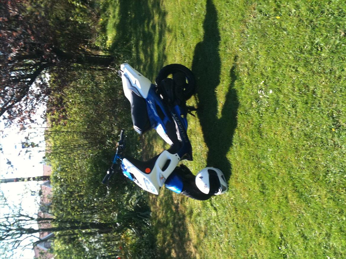 Peugeot speedfight 2 ac billede 5