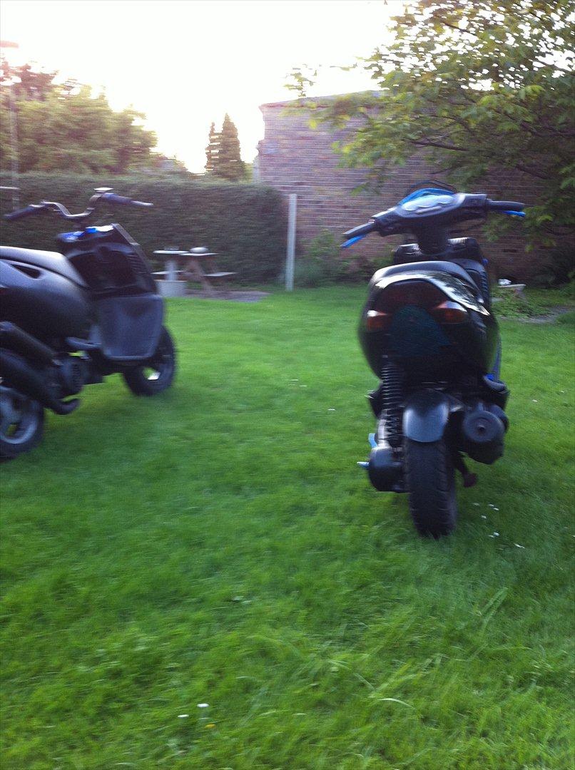 Aprilia sonic (byttet) billede 6