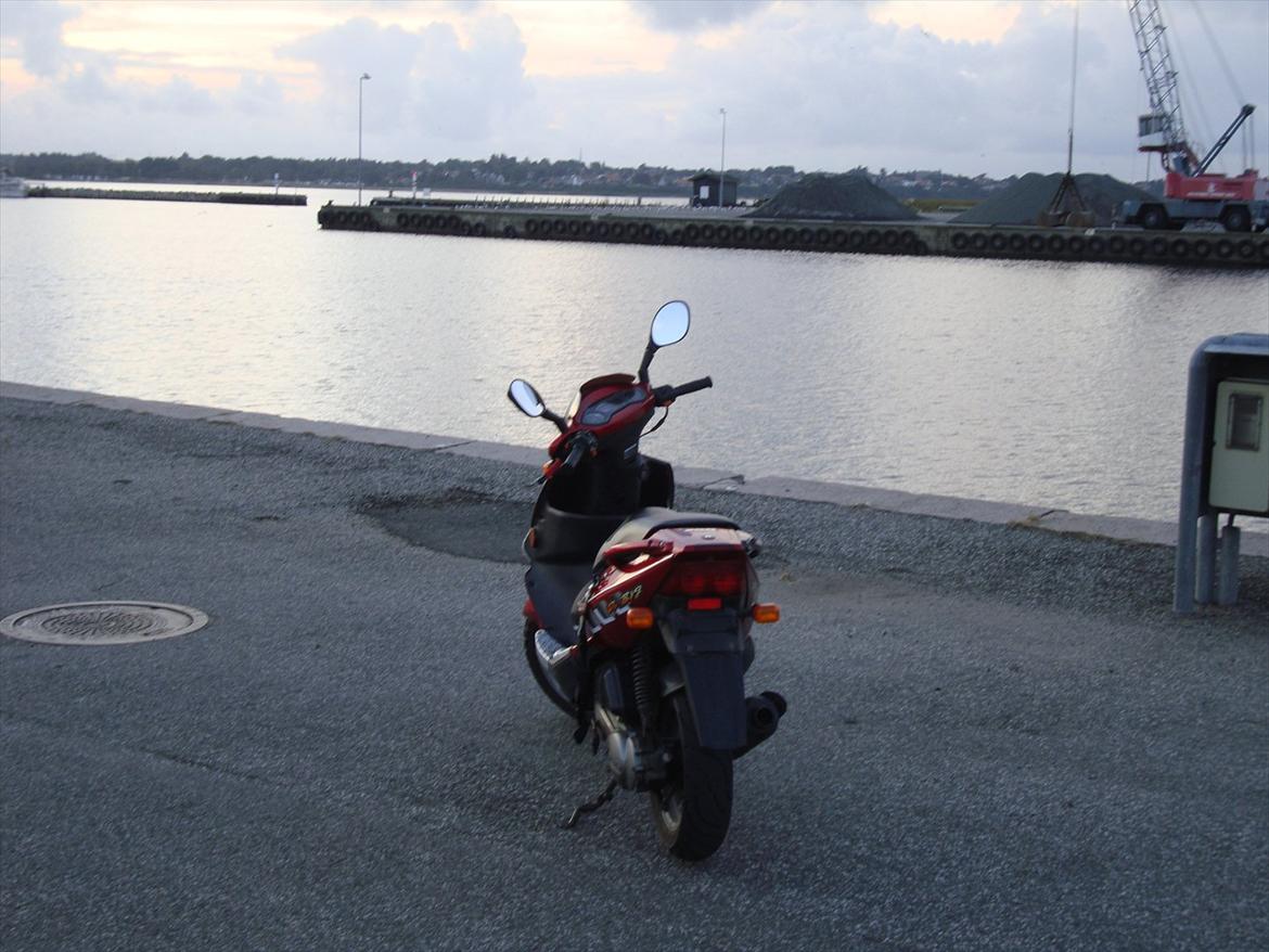 PGO Dr. Big [Solgt] billede 10