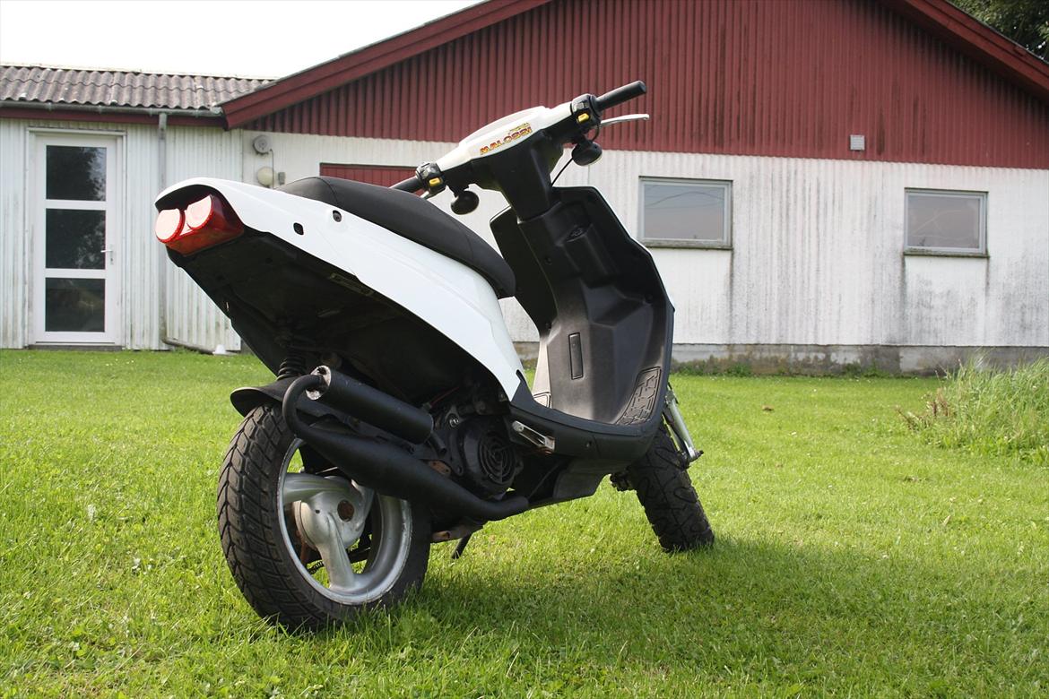 PGO hot 50 væk billede 4