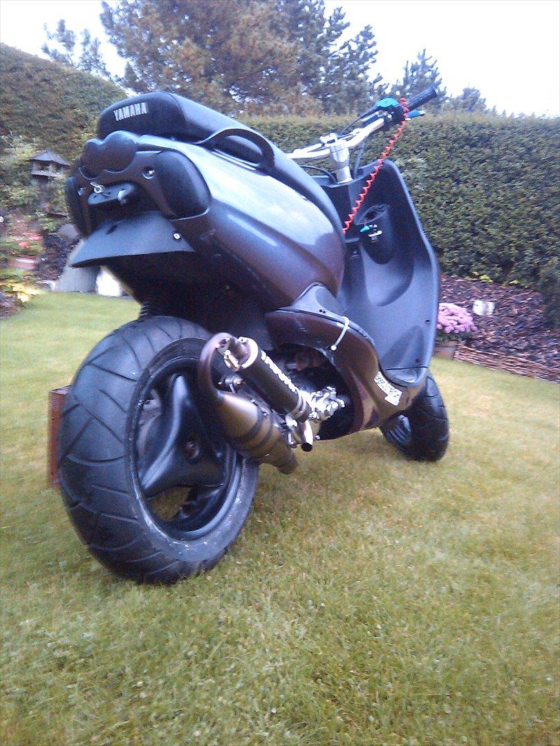 Yamaha Neo's Evo Prinsessen SD LC billede 3