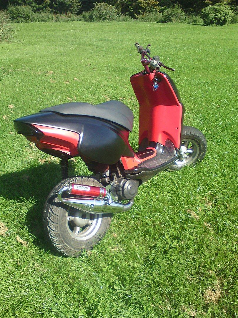 Aprilia rally  billede 3