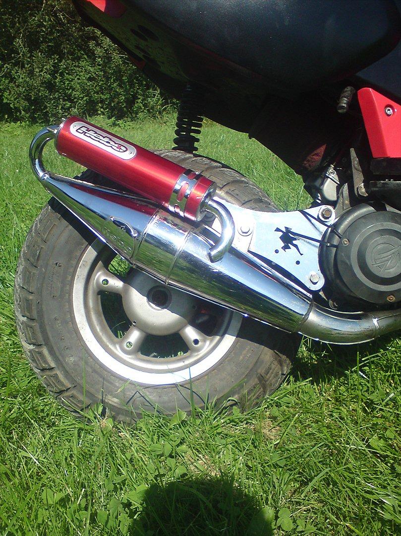 Aprilia rally  billede 6