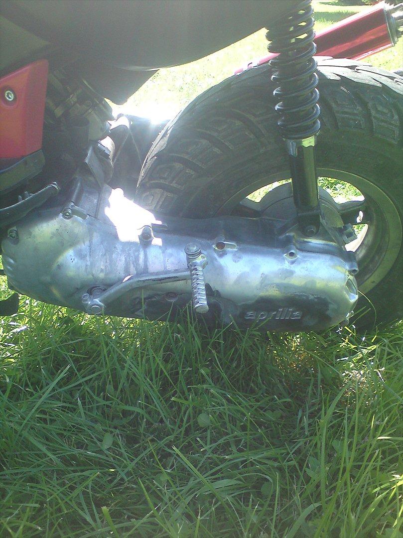 Aprilia rally  billede 9