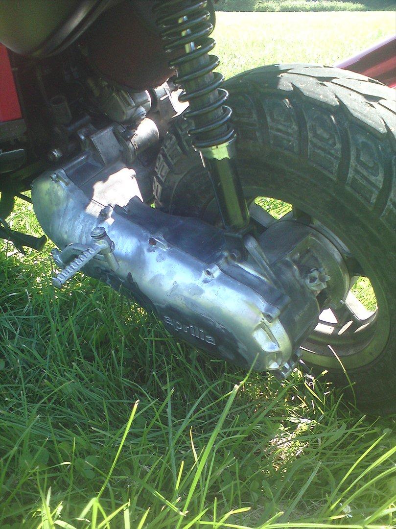 Aprilia rally  billede 10