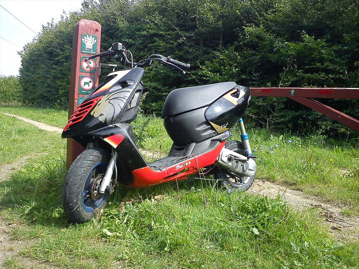 Aprilia Sonic TS T7 billede 1