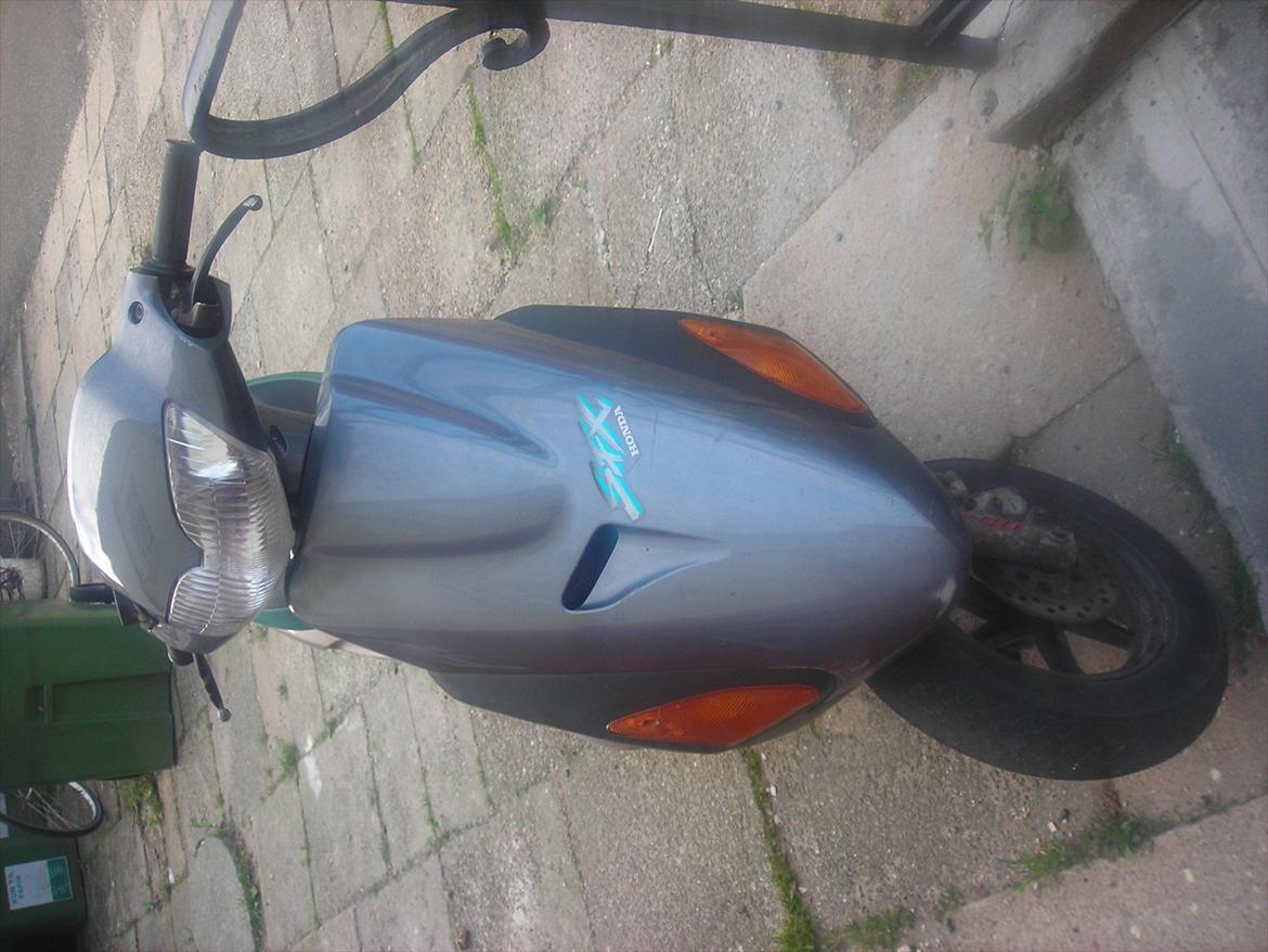 Honda sfx billede 5