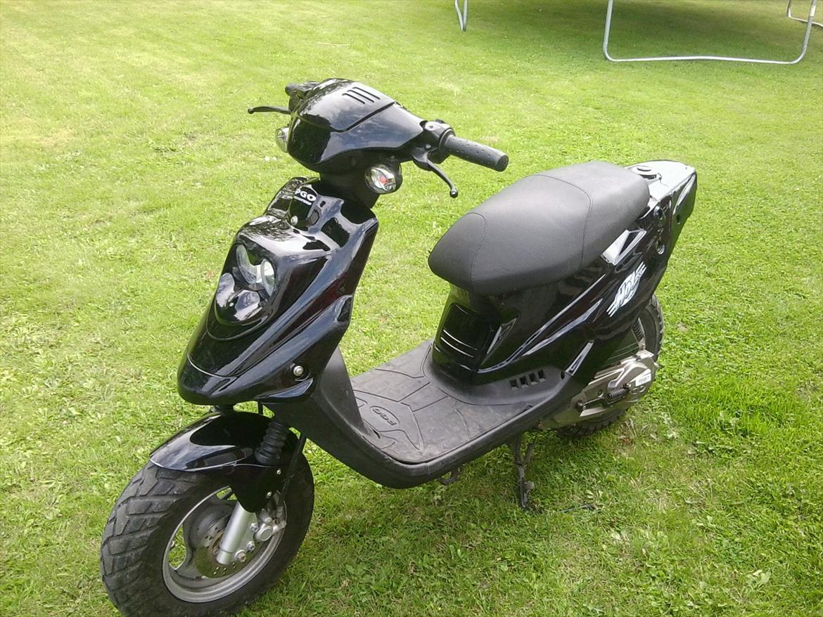 PGO HOT 50 [Tidl. Scooter]  billede 1