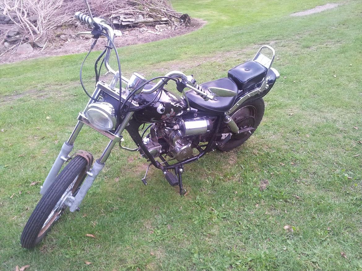 Regal Raptor *solgt* billede 1