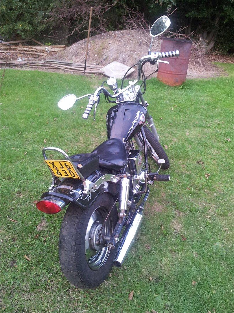 Regal Raptor *solgt* billede 2