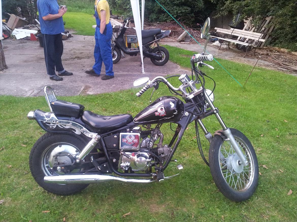 Regal Raptor *solgt* billede 3