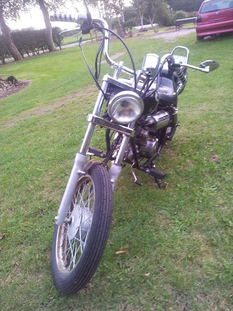 Regal Raptor *solgt* billede 4