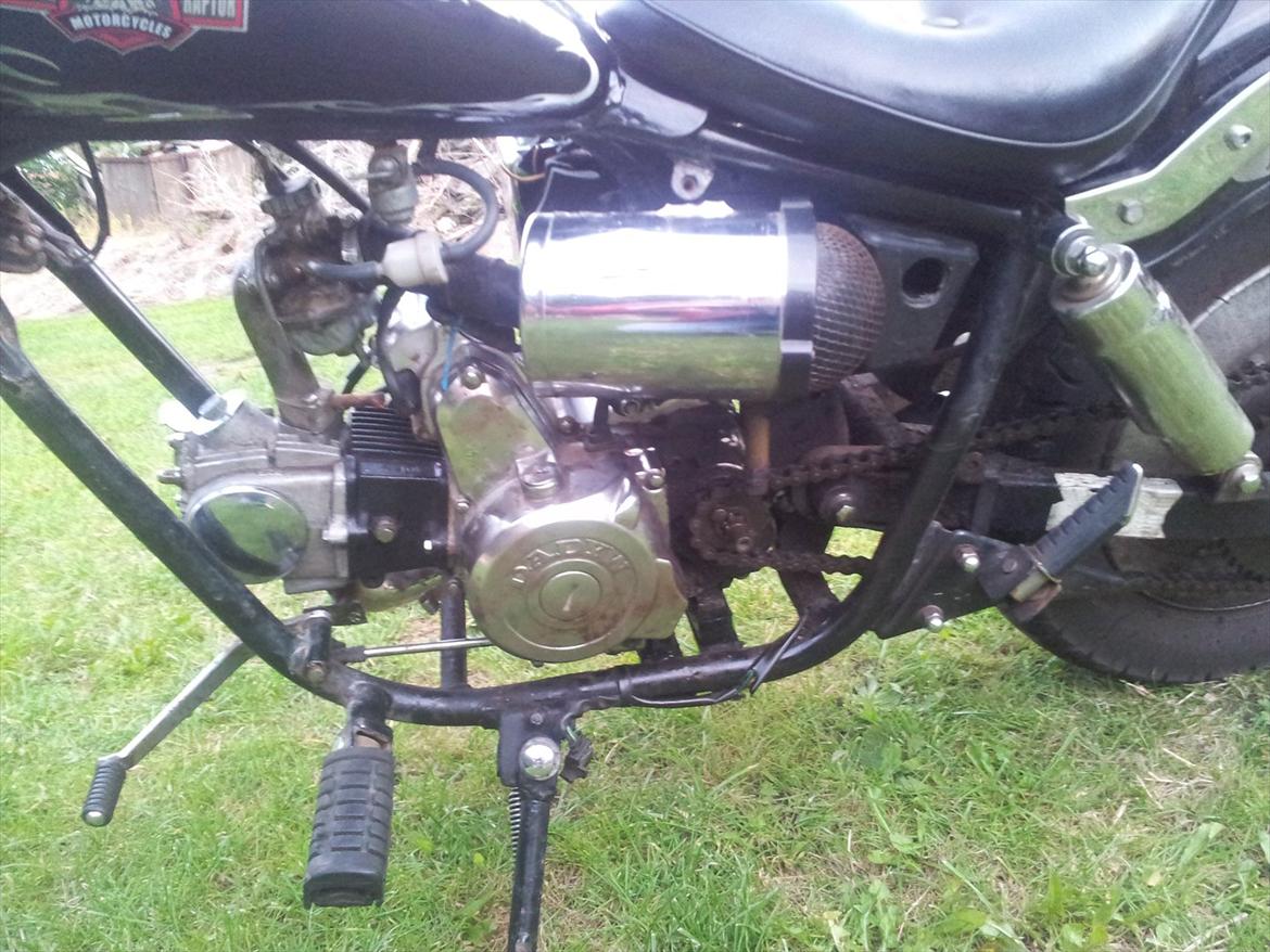 Regal Raptor *solgt* billede 6