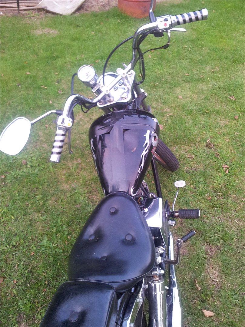 Regal Raptor *solgt* billede 7