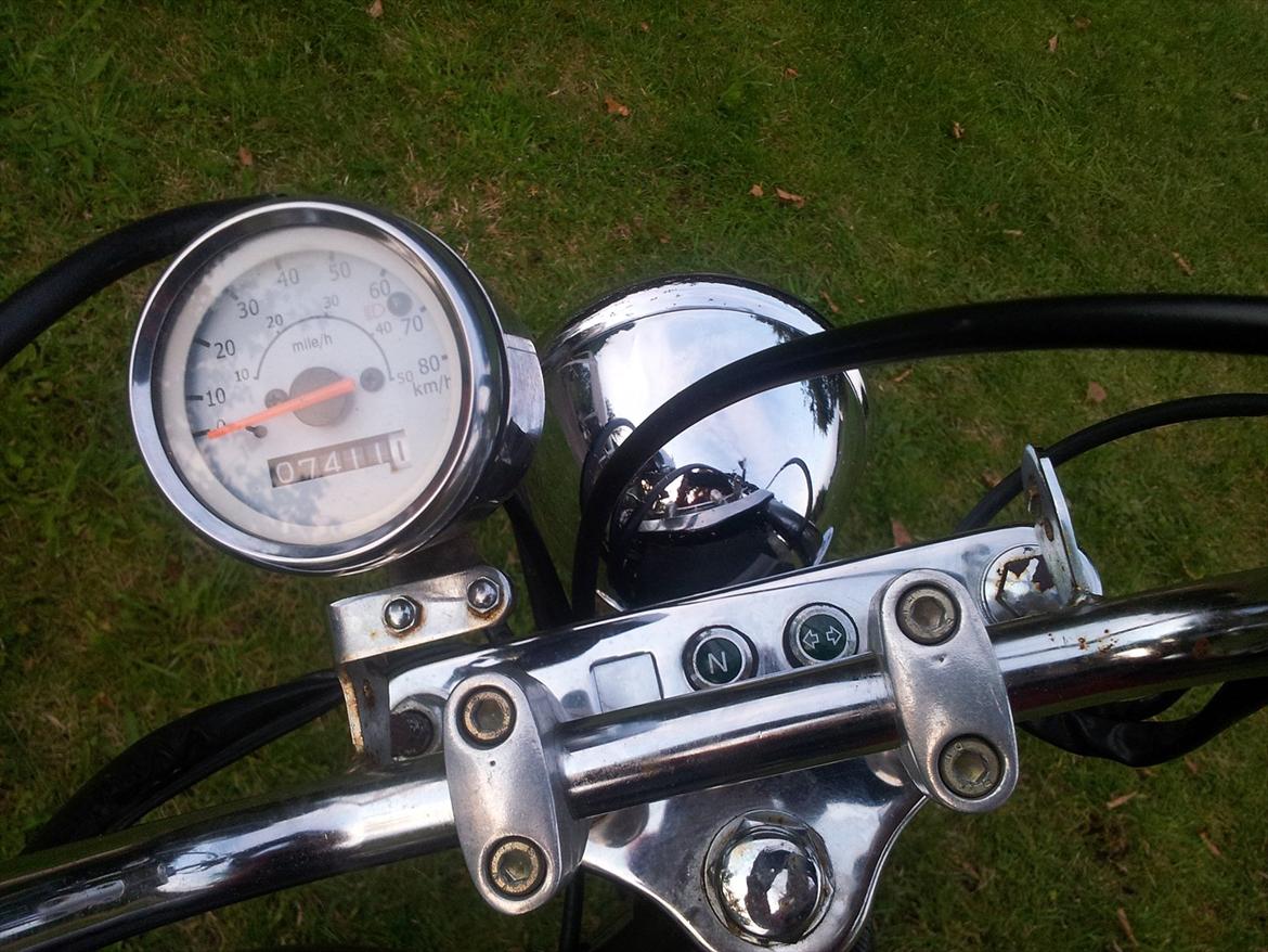 Regal Raptor *solgt* billede 8