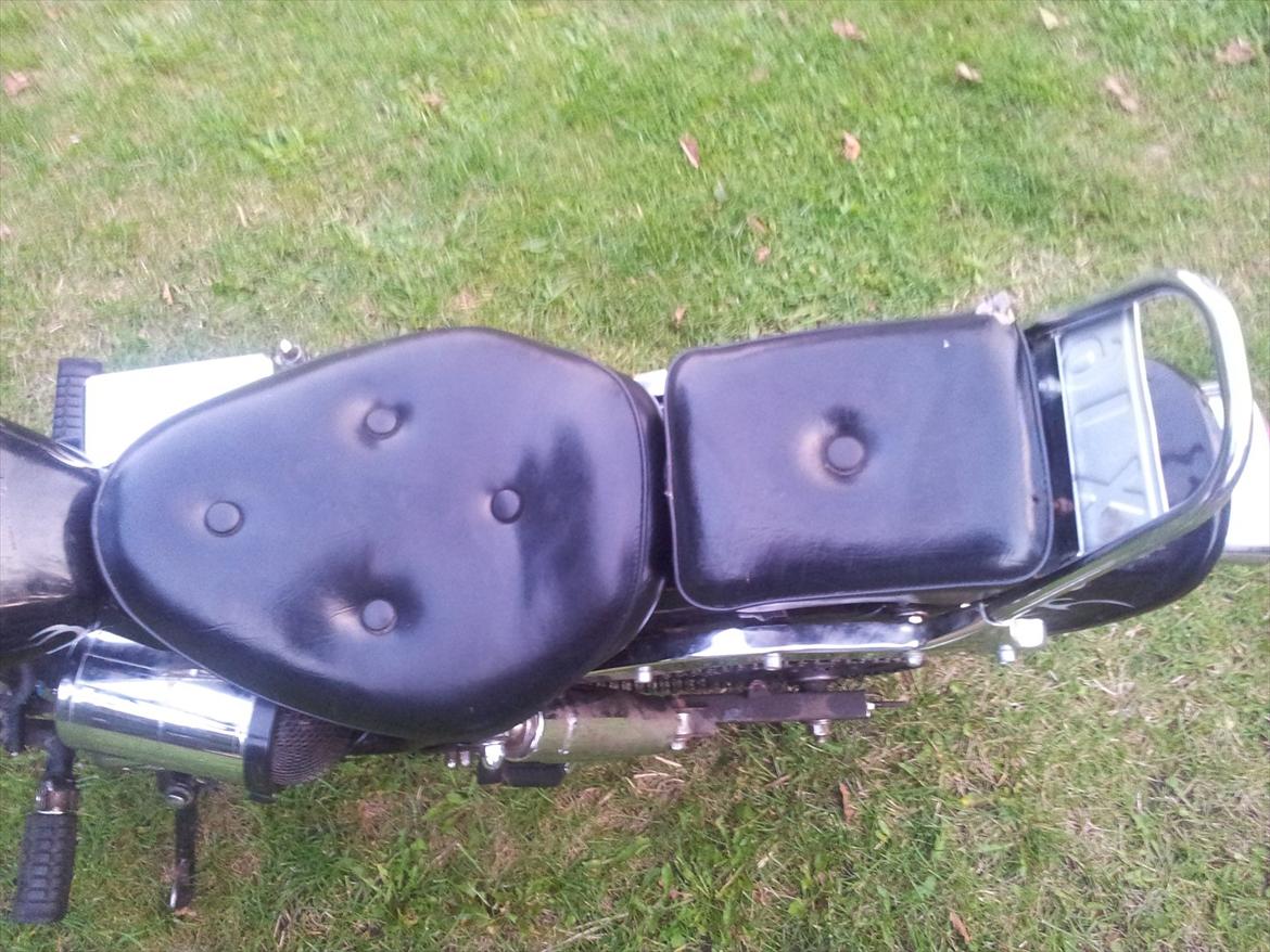 Regal Raptor *solgt* billede 9