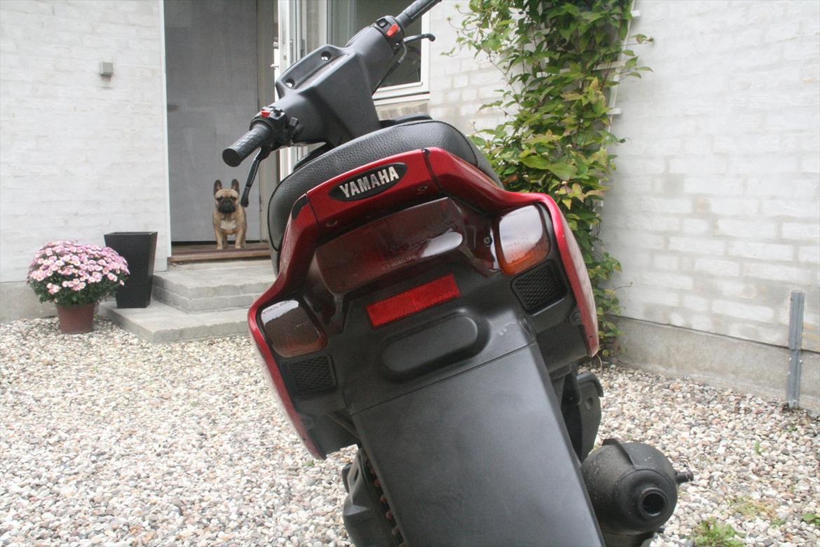 Yamaha BWS - NYT : 24-08-2011
Tonede baglygter billede 3